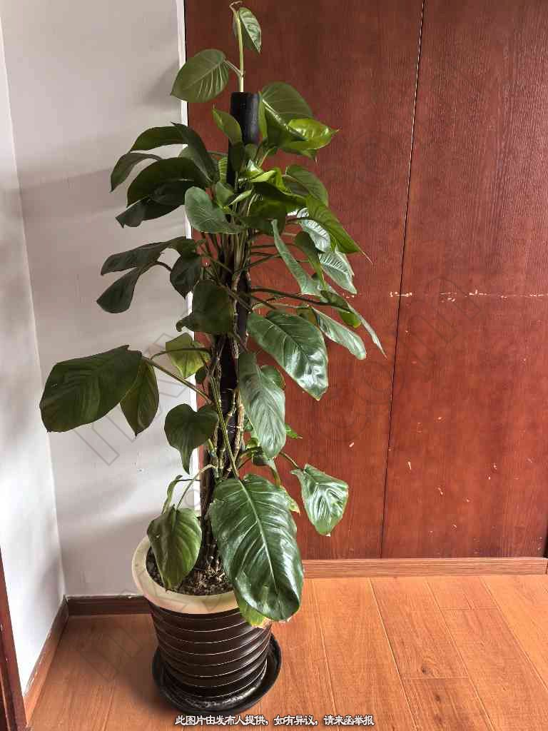 科室共建,儿童康复技术输出