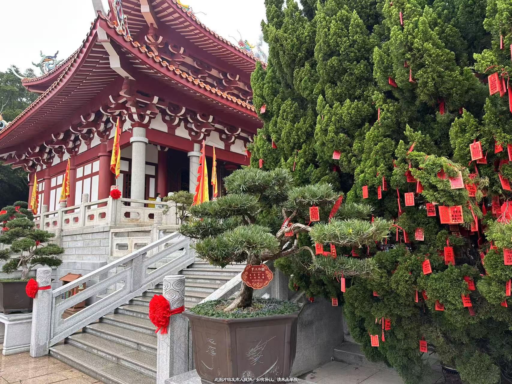 科室共建,孤独症  抑郁症中医治疗技术合作（输出）