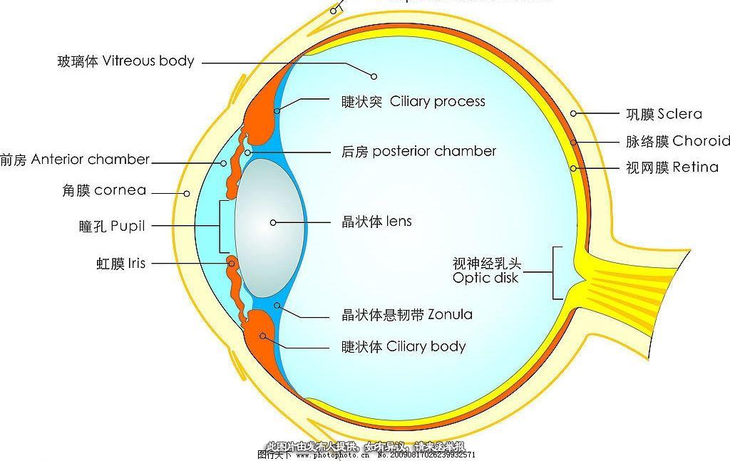 科室共建,眼科手术技术输出（河北，云南，贵州，四川）