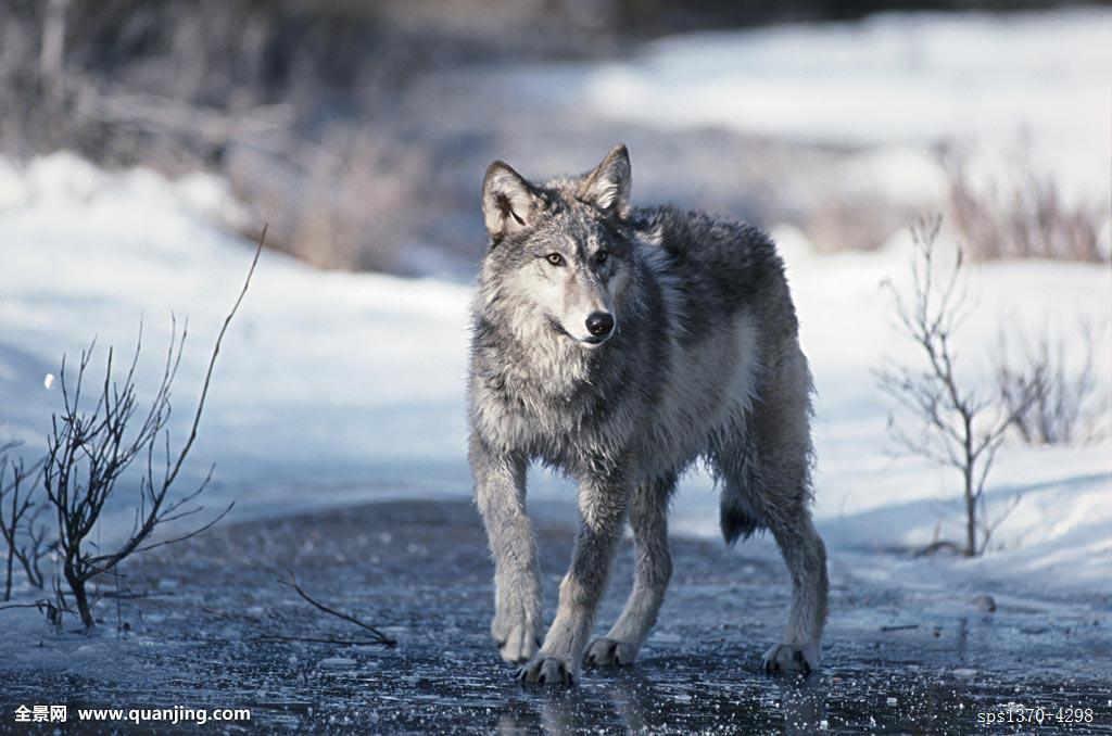 谈谈三甲医院那些事儿（一）